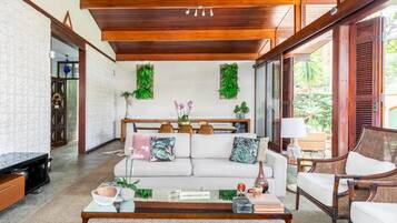 Smart TV, fireplace, books, music library