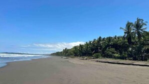A beach with a clear sky, palm trees, and a sandy shore.