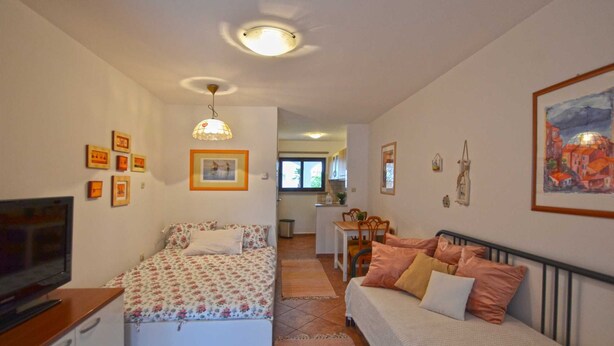 A compact living space with a bed, a sofa, a TV, and a dining area. - Greta studio 1 with terrace (Rovinj)