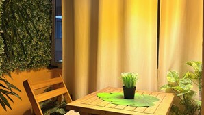 Een gezellige kamer met een houten tafel, twee stoelen, een potplant en een groene wand.