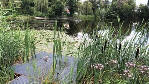 A tranquil riverside area with a metal dock extending into the water, surrounded by lush greenery and trees.