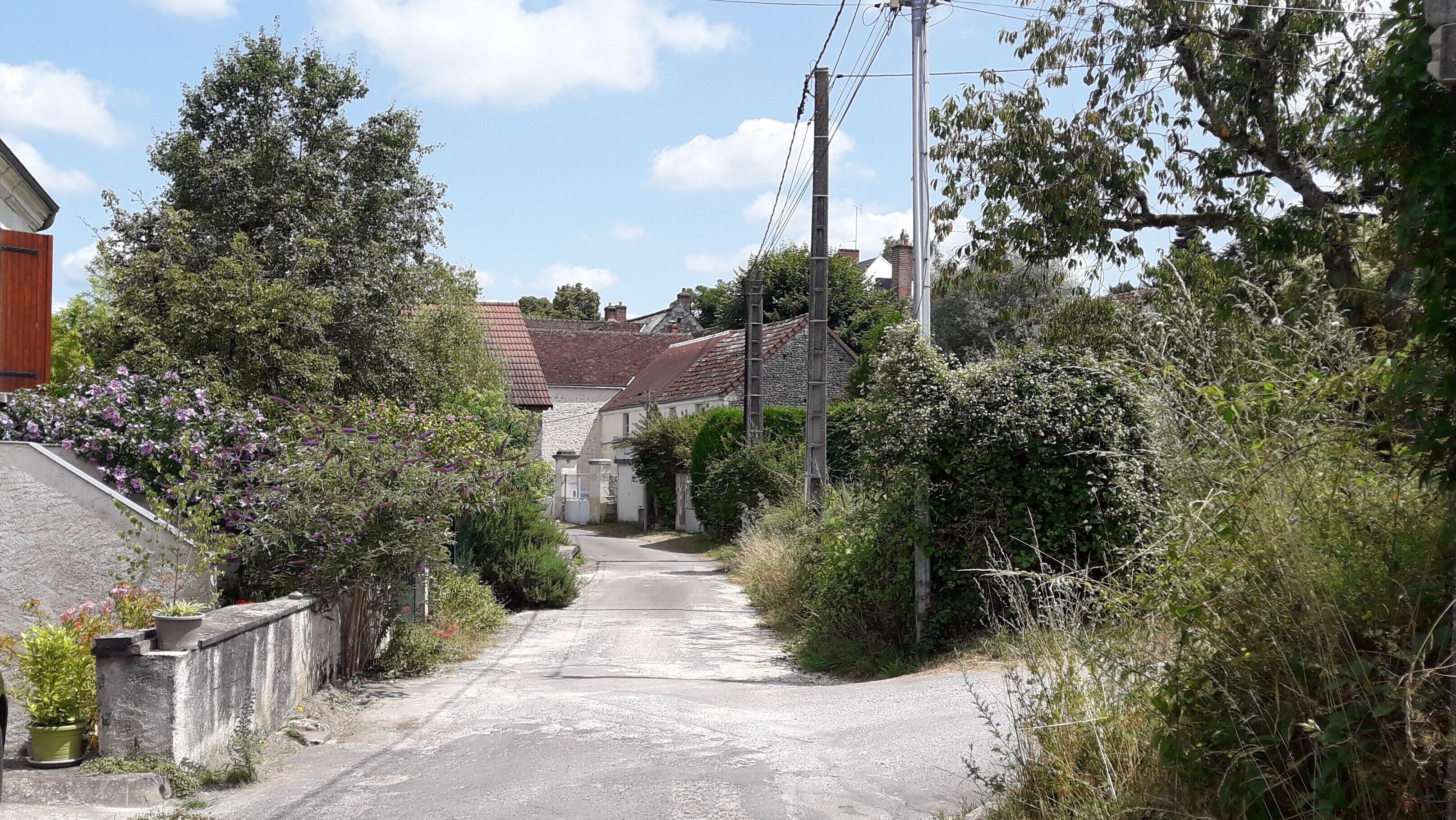 A narrow, paved road flanked by dense vegetation and residential buildings with red-tiled roofs.