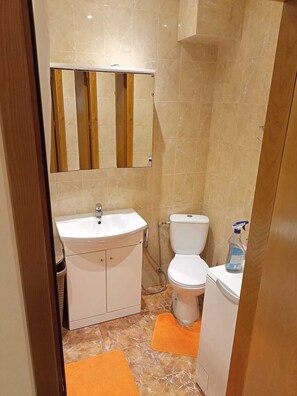 Secador de pelo, toallas, jabón y papel higiénico