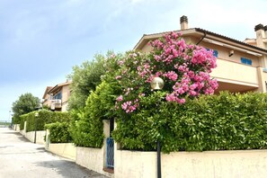 A residential building with a beige facade, a balcony with blue shutters, and pink flowering bushes.