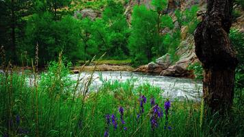 A river with surrounding greenery and a rocky hillside.