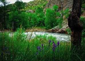 A river with surrounding greenery and a rocky hillside.