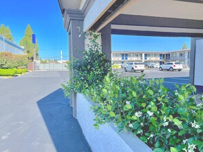 Overnattingsstedets uteområder