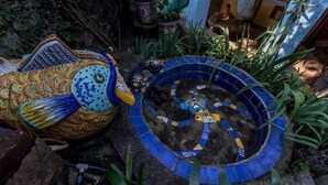 Property grounds - Best Price Suite w/ bathroom, terrace, peaceful and private (Valle de Bravo)