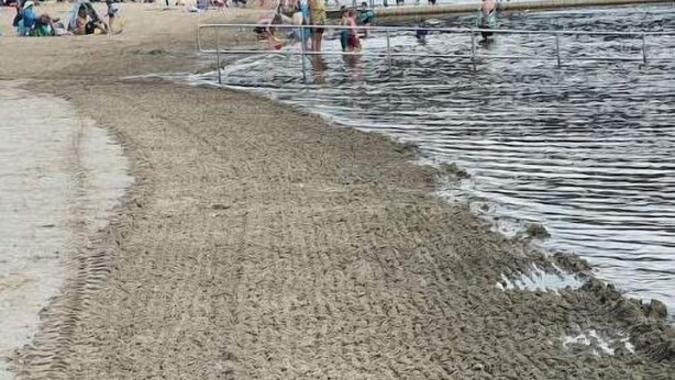 Een strand met mensen die zwemmen en langs de kust wandelen, omgeven door een bebost helling.