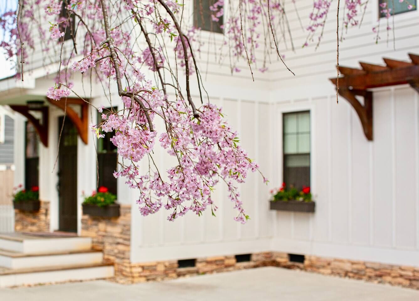 Blue Ridge Getaway & Spa ~ King | Sauna | Walkable