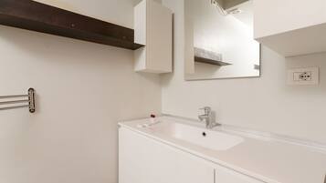 Shower, hair dryer, bidet