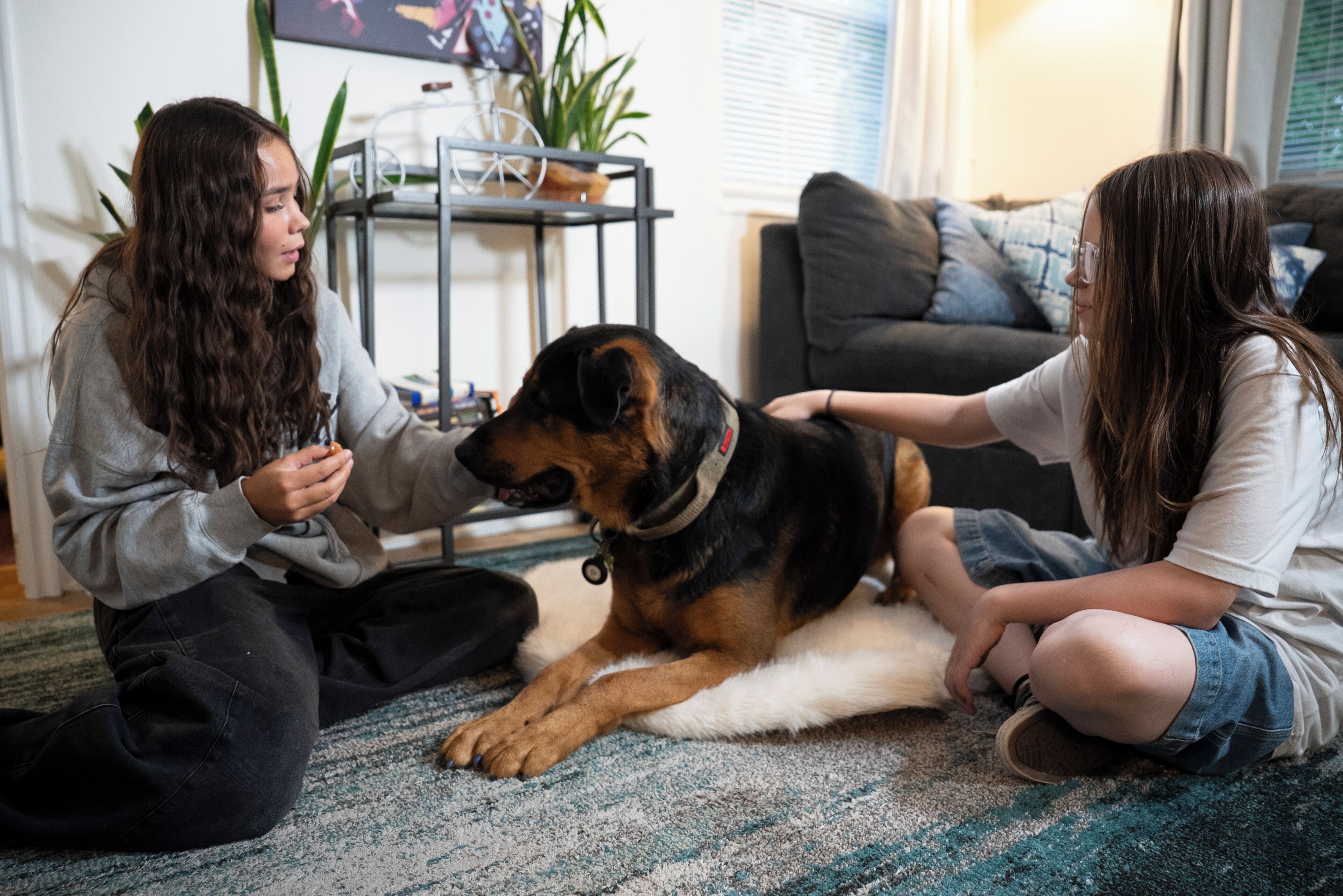 Two people sitting on a carpeted floor with a large dog between them.
