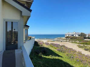 A coastal property with a balcony overlooking the sea, a garden with purple flowers, and a view of other houses in the distance. - Beach Front Private Carlsbad Beach Front & Lagoon Private Beach Access (Carlsbad)