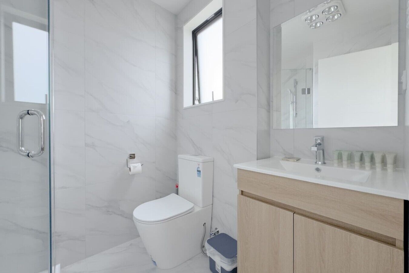 Shower, hair dryer