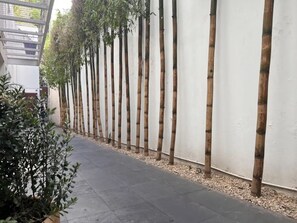 Área da propriedade