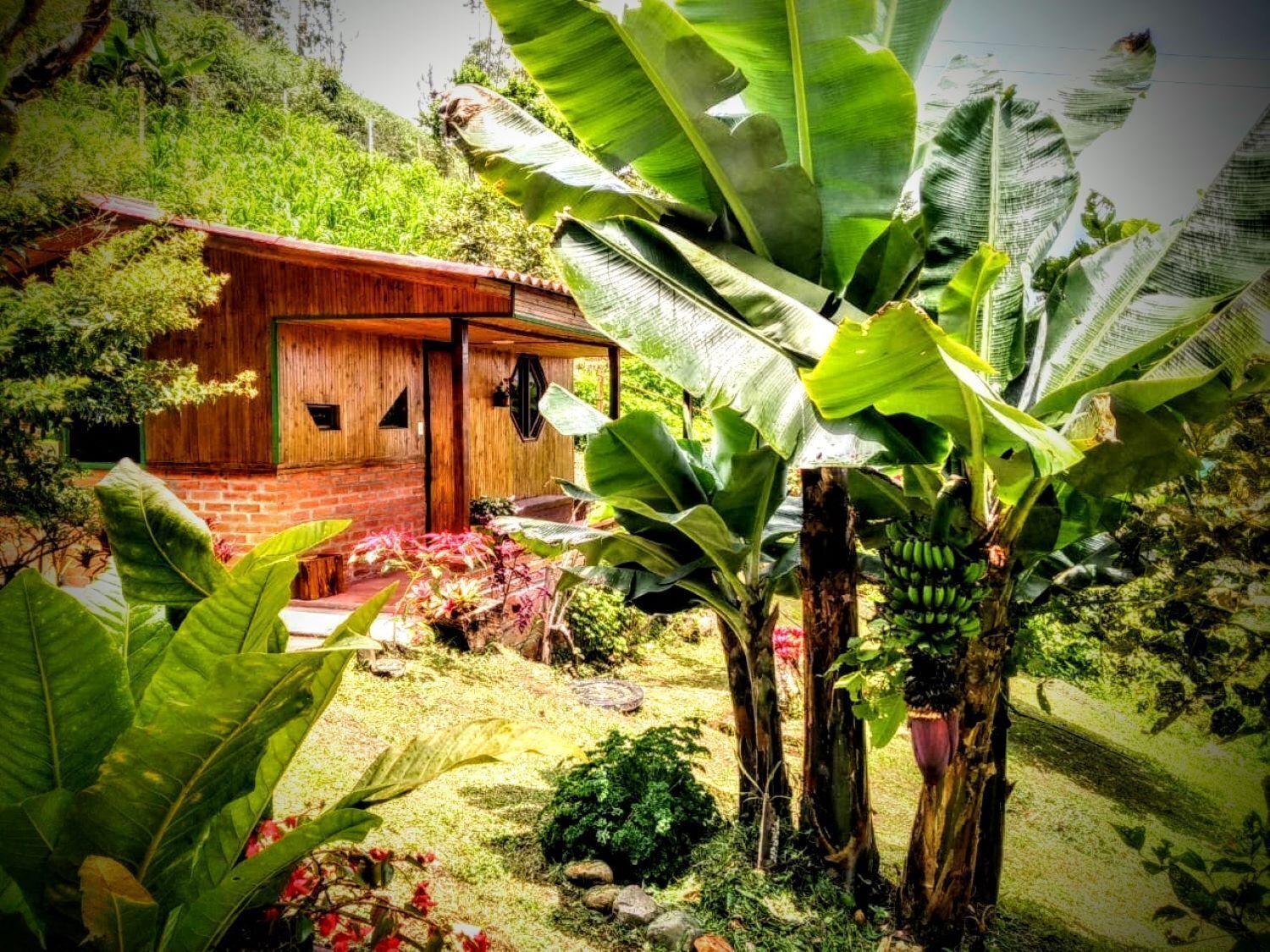 Enceinte de l’hébergement