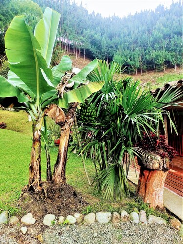Tesorito House en las Montañas del Quindío