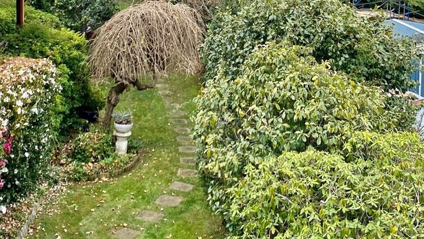 Un jardín con un sendero de piedra, arbustos y árboles.