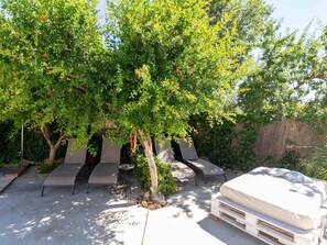 Terras