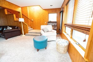 Smart TV, fireplace, books