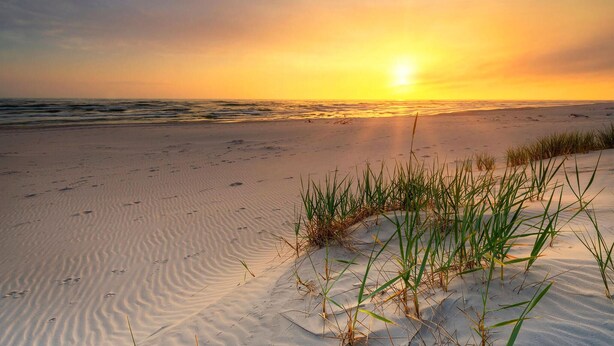 A beach with sand dunes and grass in the foreground. - Beach front home in Nowecin with sauna (Nowecin)