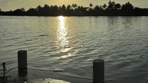 Une étendue d'eau calme où se reflète le soleil, avec une rangée de palmiers en arrière-plan.