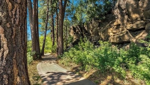 Un sentier pavé traverse une zone boisée, parsemée de grands arbres et de formations rocheuses.