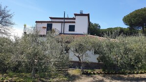 Une maison à deux étages, avec un toit en tuiles, entourée d’oliviers et d’un mur de pierre.