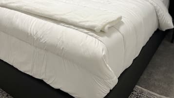 1 Schlafzimmer, Bügeleisen/Bügelbrett, kostenloses WLAN, Bettwäsche