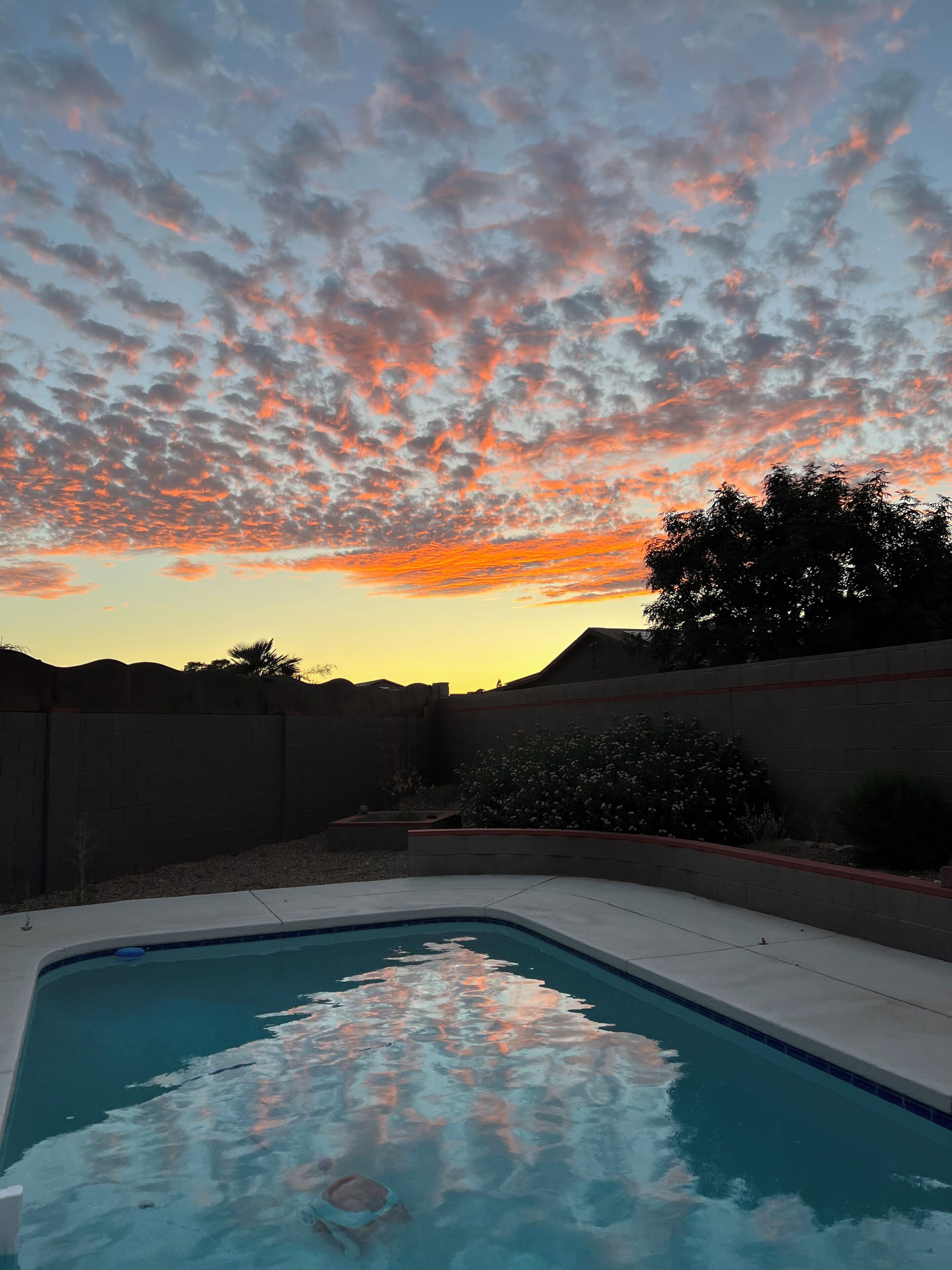 Comfortable and peaceful home with pool and the coziest beds ever!