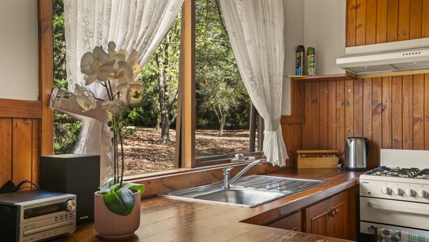 A kitchen with wooden cabinets, a stainless steel sink, a stove, and a potted orchid.