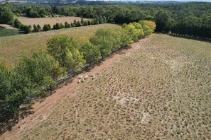 An aerial view of a rural landscape with a fenced area containing trees and a few sheep. - StayAU Lakeview Cottage 2BR Cozy Nature (Badger Creek)