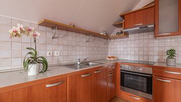 Fridge, oven, stovetop, toaster