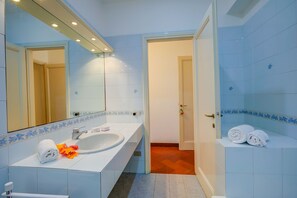 Shower, hair dryer, bidet, towels