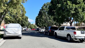Une rue bordée de voitures garées et d’arbres.