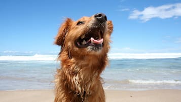 Am Strand