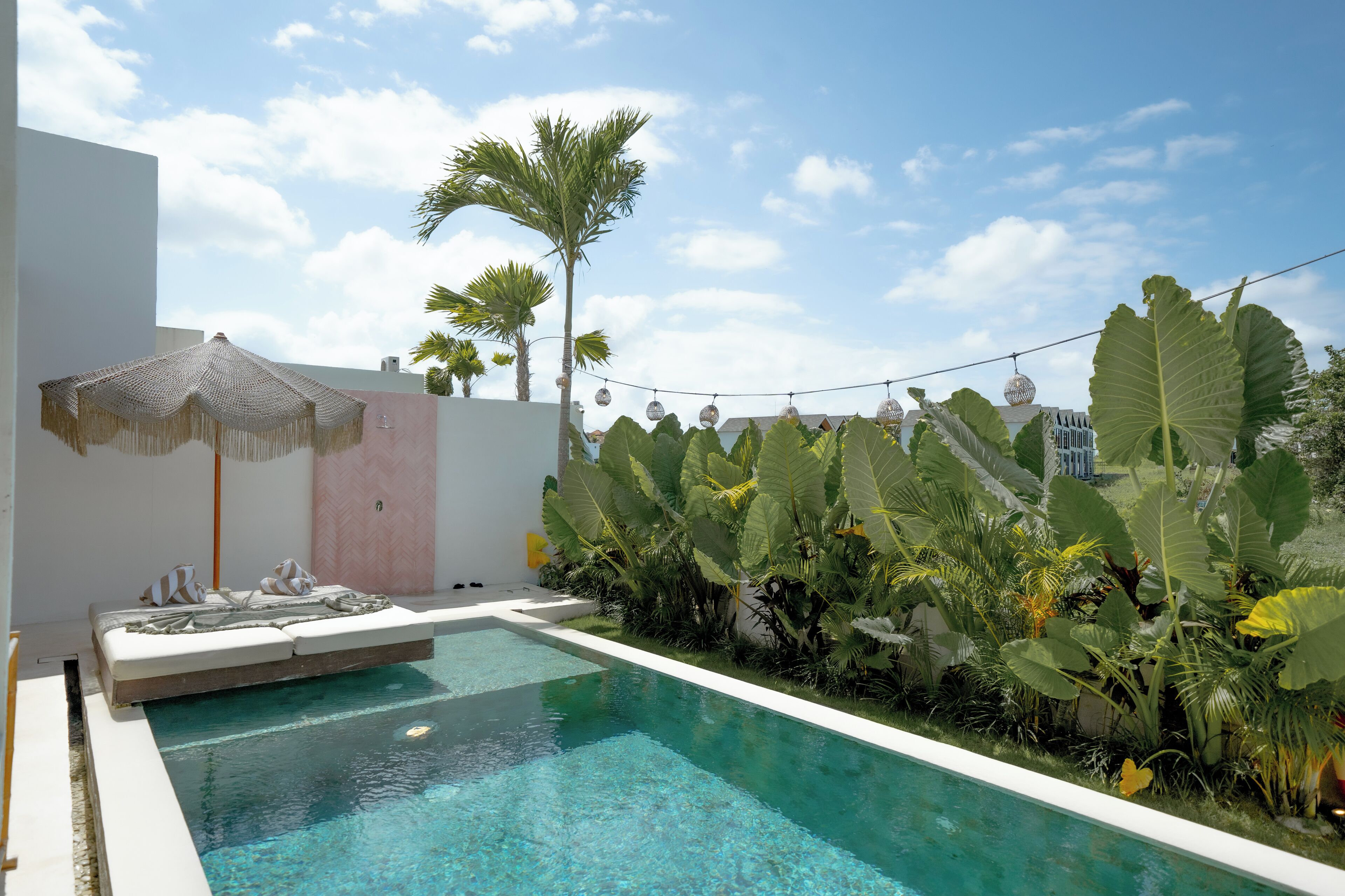 A swimming pool with a white deck, surrounded by tropical plants and a palm tree.