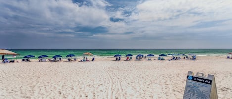 على الشاطئ، صيد الأسماك