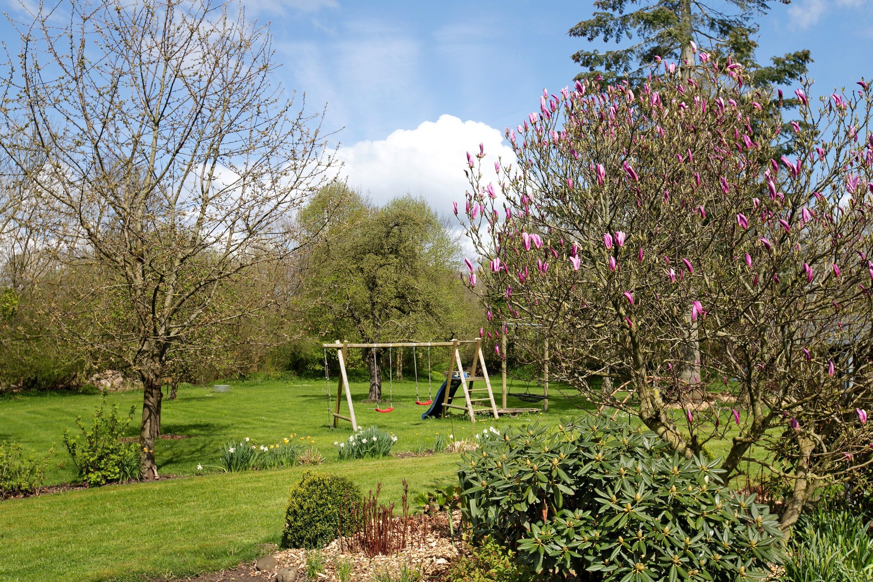 A garden with a swing set, a lawn, and various trees.