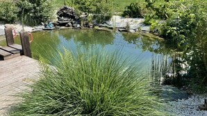Un étang doté d’une terrasse en bois, entouré de verdure et délimité par une clôture.