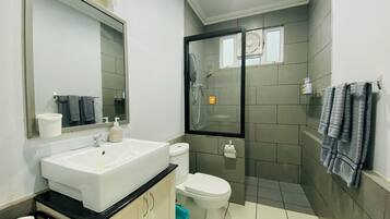 Shower, jetted tub, hair dryer, bidet