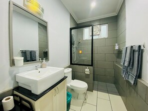 Douche, baignoire à jets, sèche-cheveux, bidet