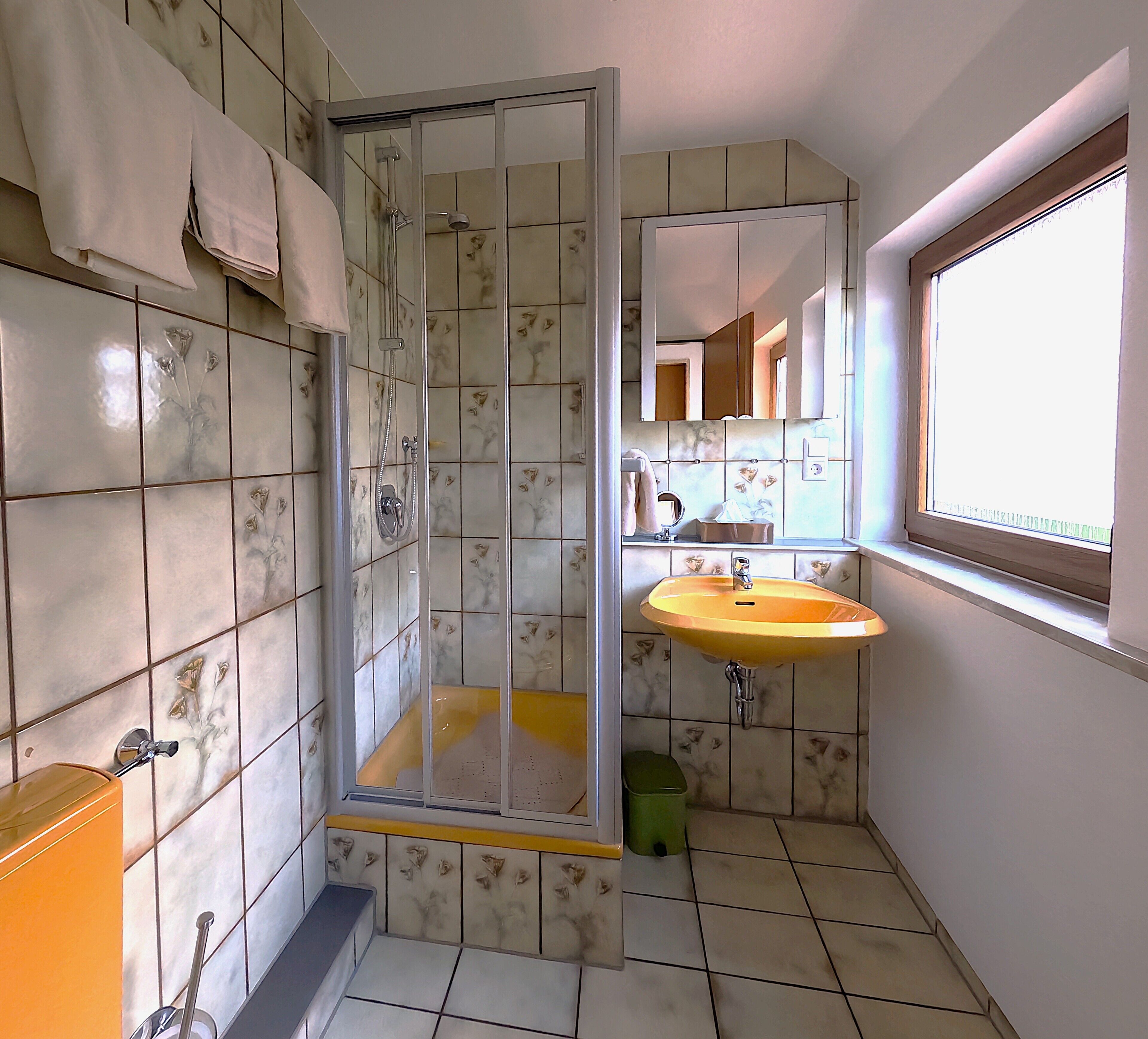 Dusche, Haartrockner, Handtücher, Seife