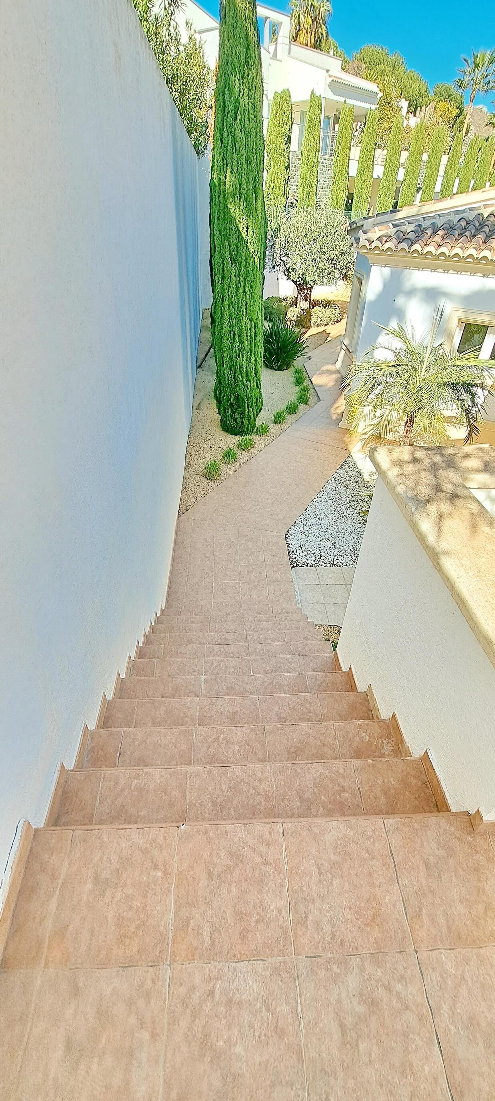 A staircase leading to a building with a white exterior and a garden with tall green plants.