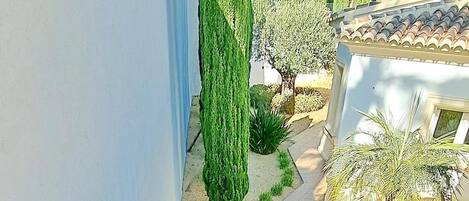 A staircase leading to a building with a white exterior and a garden with tall green plants.