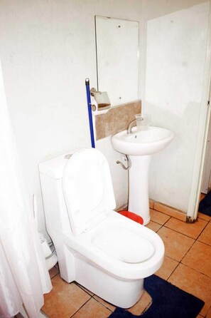 Deluxe Studio | Bathroom | Shower, rainfall showerhead, free toiletries, bidet