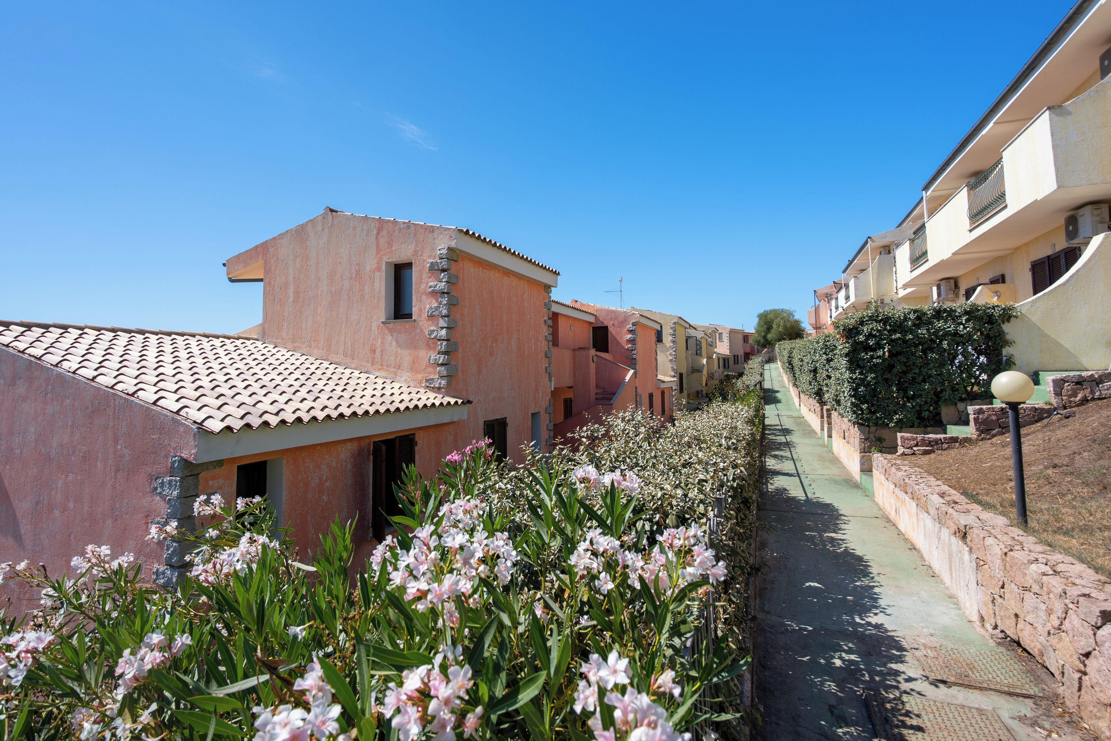 A narrow street lined with buildings, a clear sky, and flowering plants.