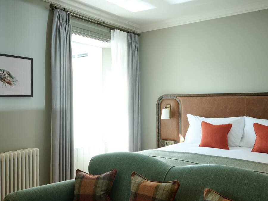 Una habitación de hotel con una cama grande, un sofá verde y un cuadro de un pavo real en la pared.