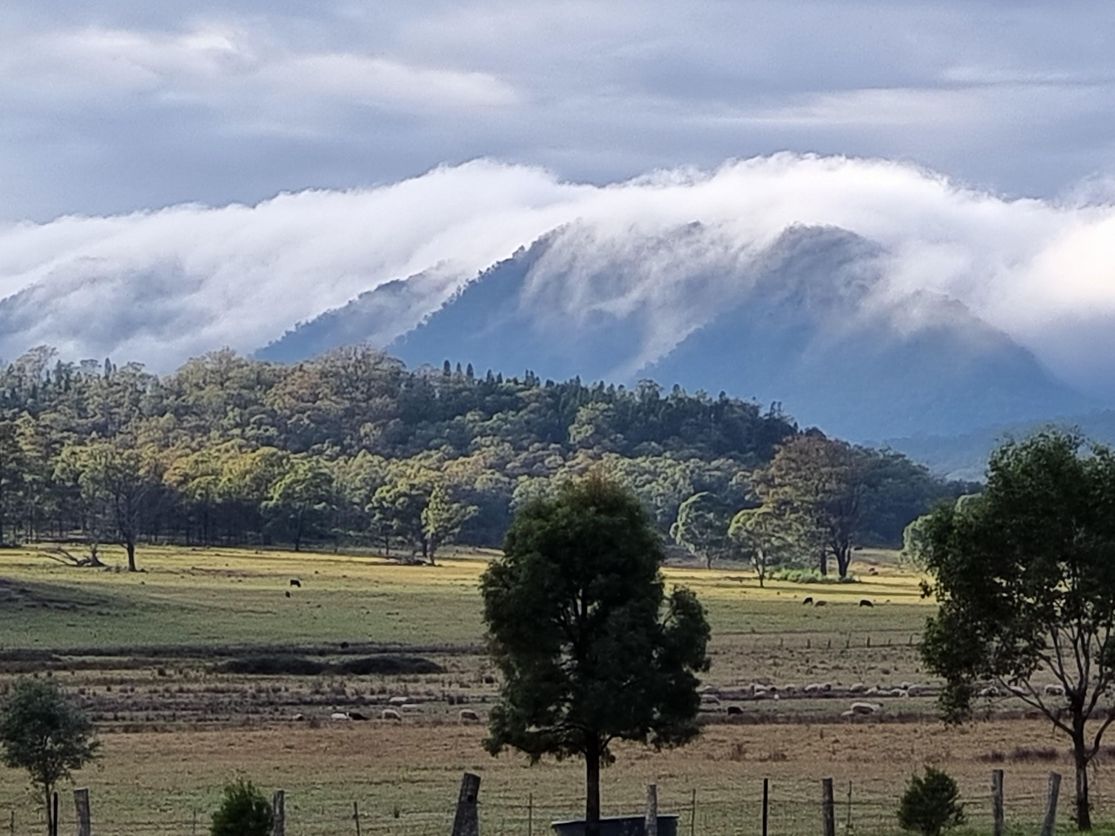 A rural landscape with a mountain in the background, fields, and scattered trees.
