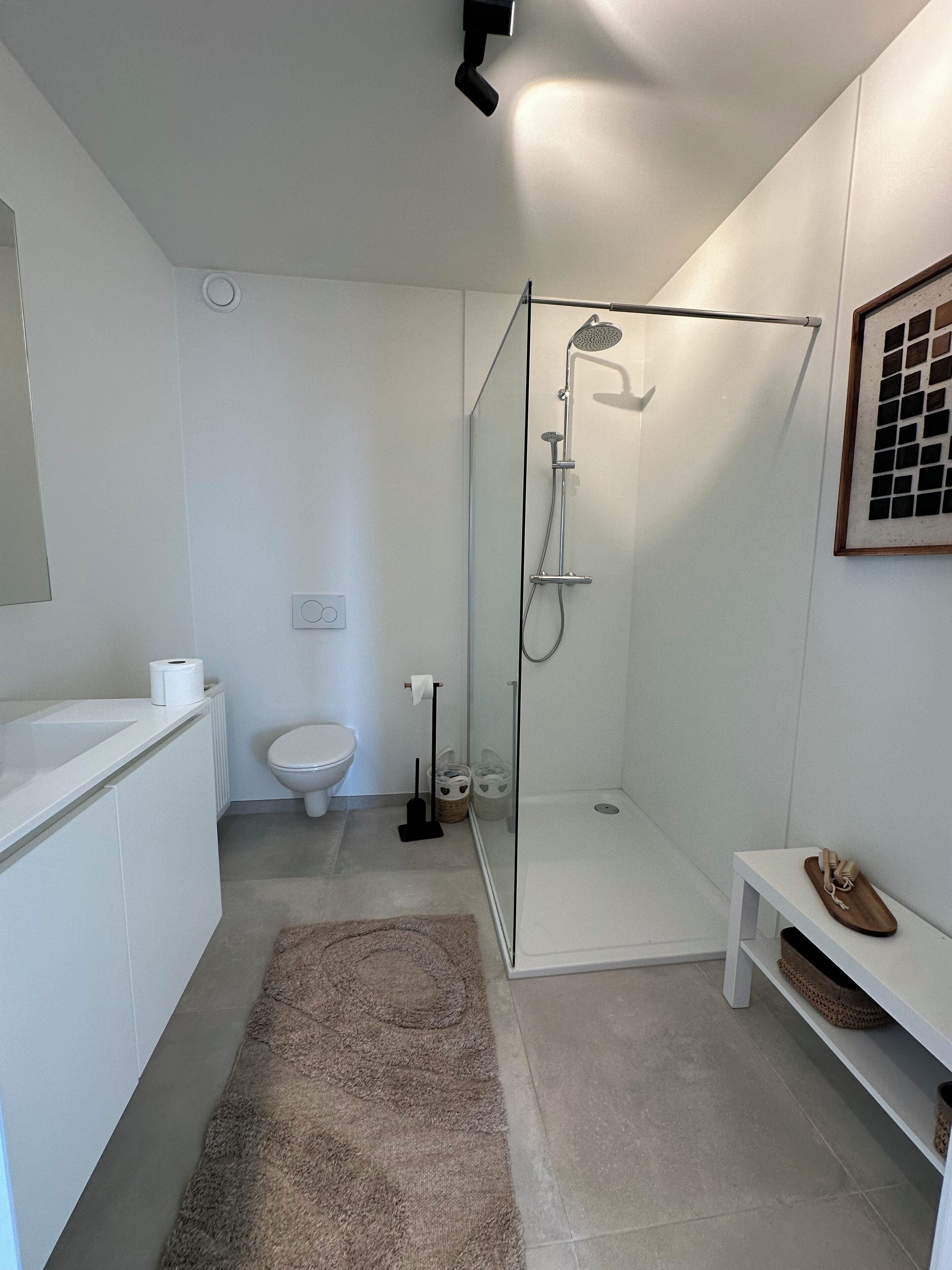 Een haardroger, handdoeken, zeep, toiletpapier